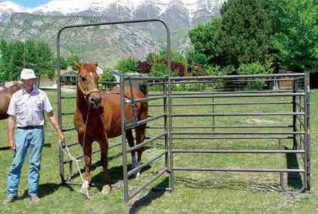 12' Bow Gate and Panel