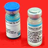 AE and Fowl Pox Vaccine