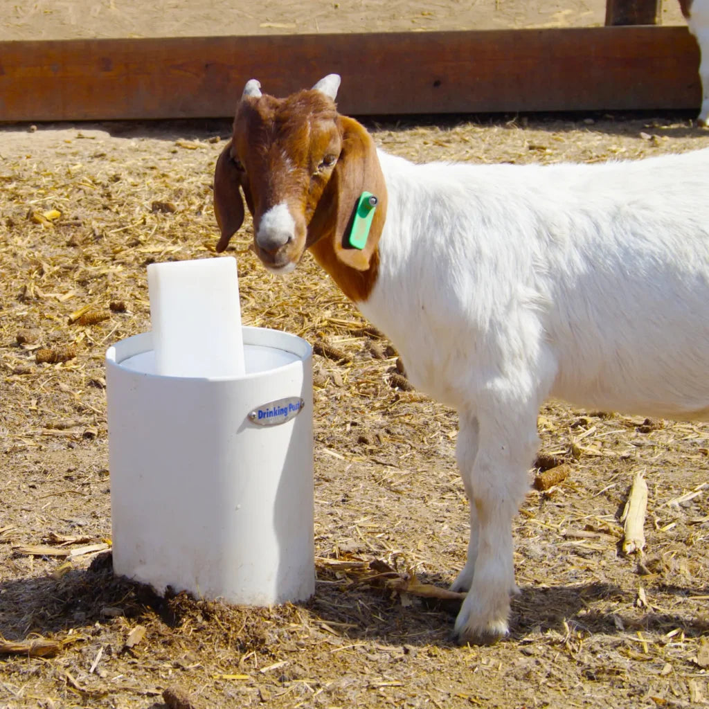 Horse Waterer - The Drinking Post