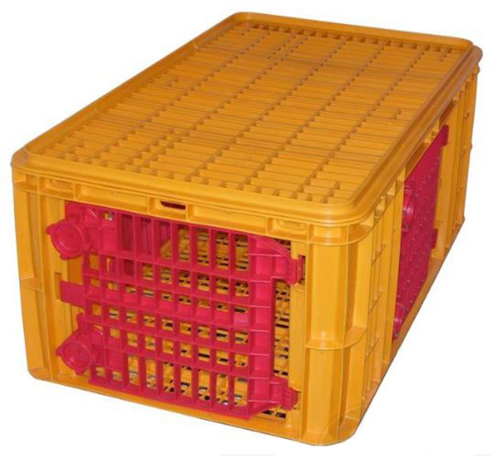 Poultry Coop - Oversized