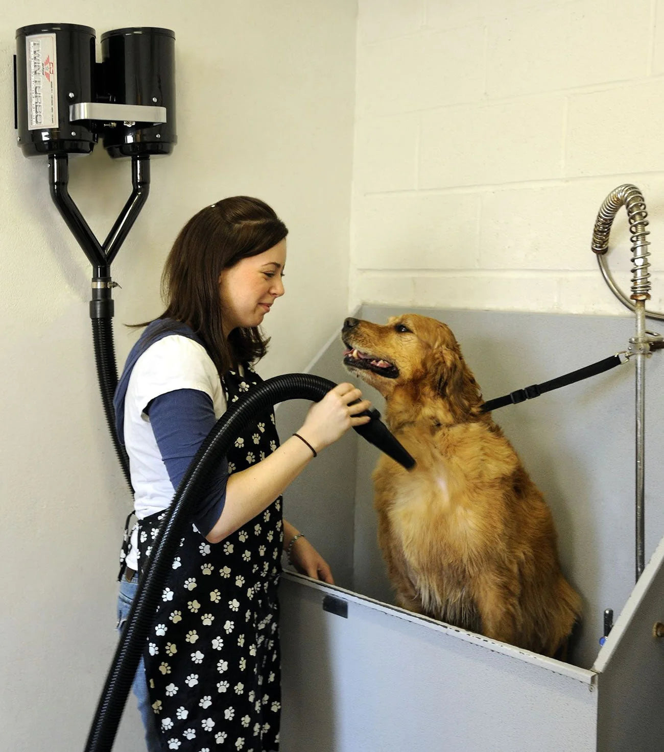 Air Force Twin Turbo Dryer
