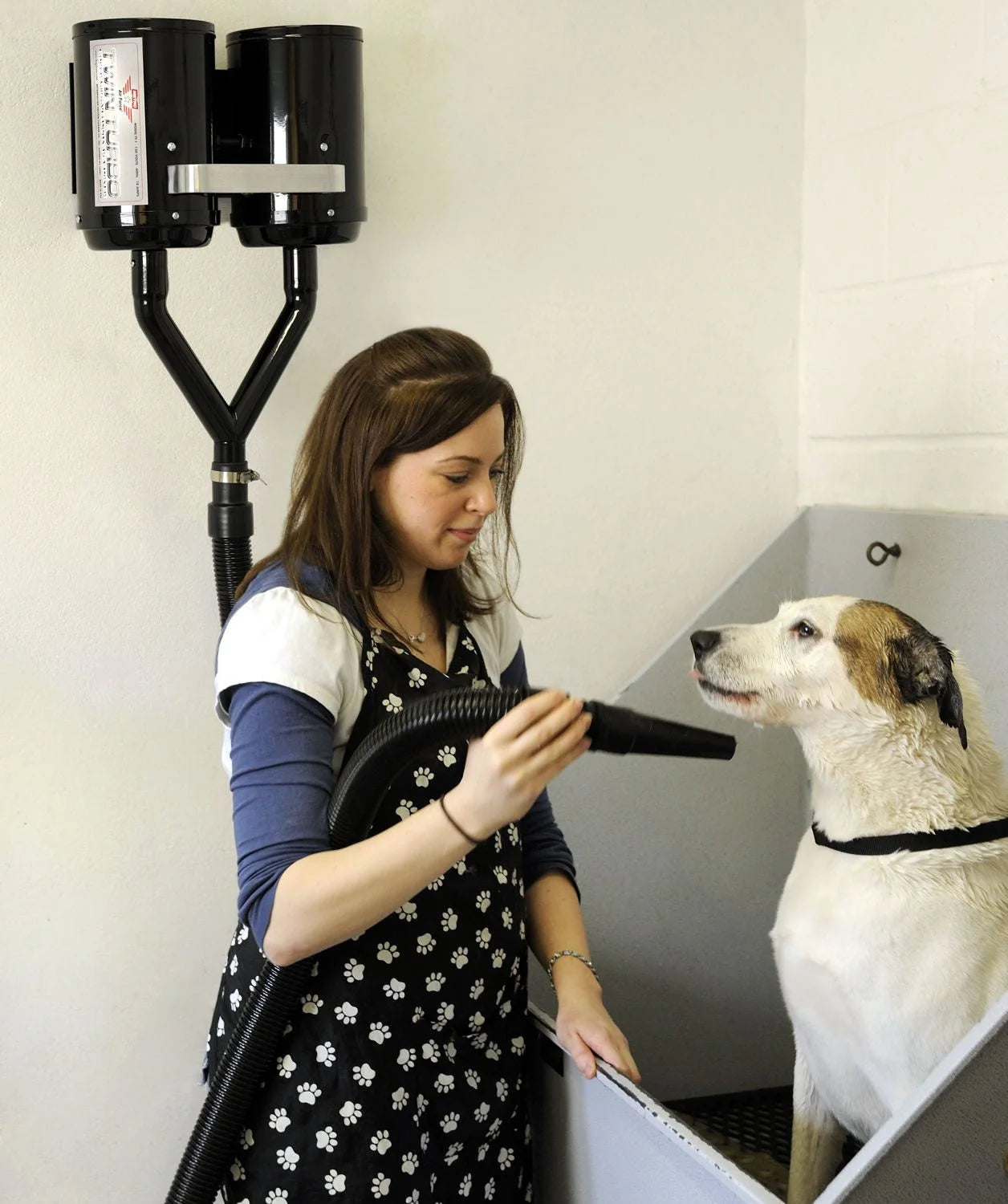 Air Force Twin Turbo Dryer