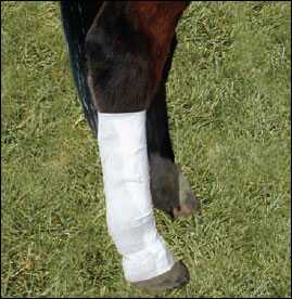 Tapeless Reusable Non-Adhesive Dressing System - Back Lower Leg