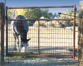 Wire Filled Gates - 48" Tall - Hi Qual