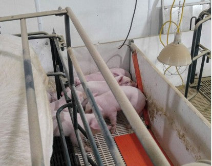 Heat Pad Power Cord Protector - Floor Mount