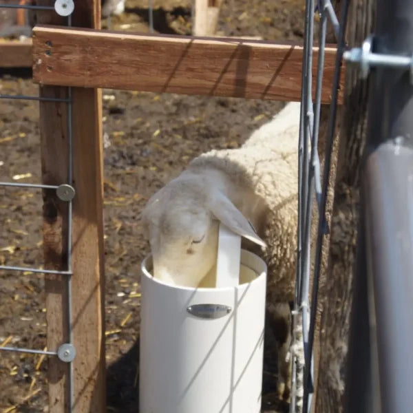 Horse Waterer - The Drinking Post