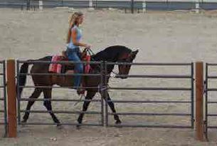 52" Tall Gate - 1 5/8"