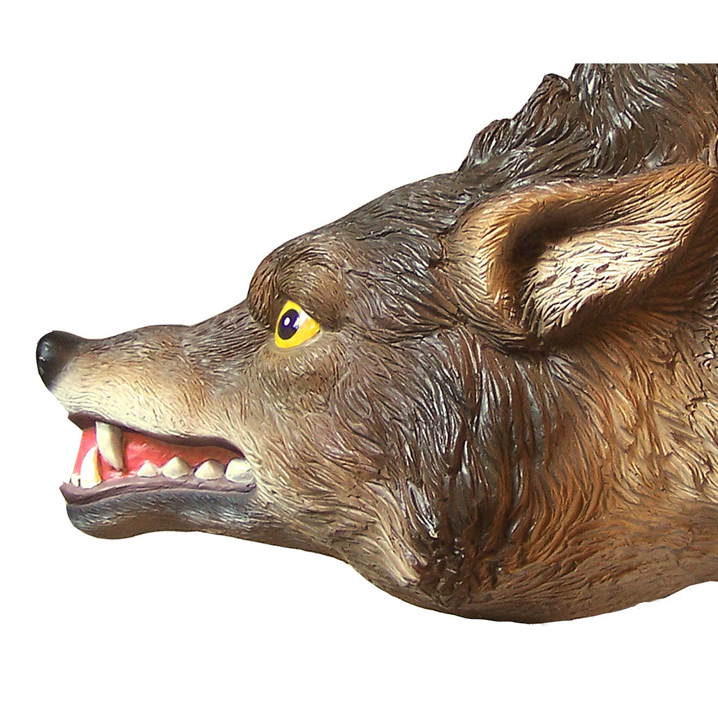 3D Coyote