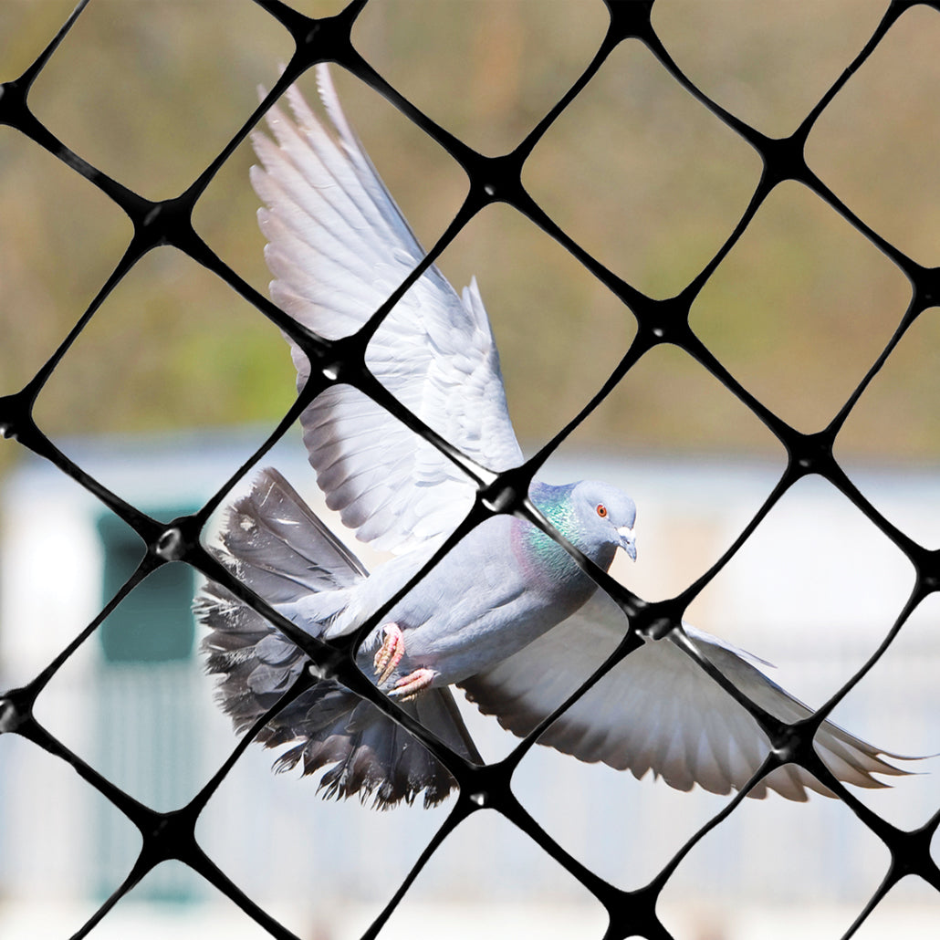Bird Netting - 1/2" Sq