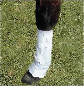 Tapeless Reusable Non-Adhesive Dressing System - Front Lower Leg