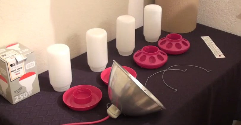 Starter Kit for Chicks