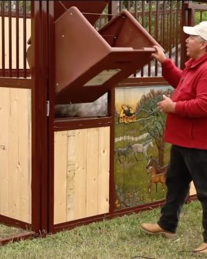 Tilt Out Stall Feeder