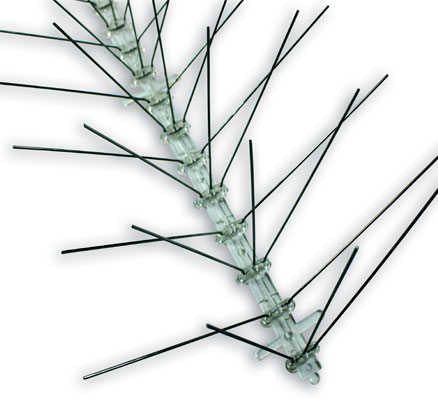 Bird Spikes - Plastic