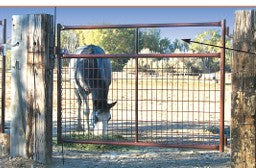 Wire Filled Panels - 50' Tall